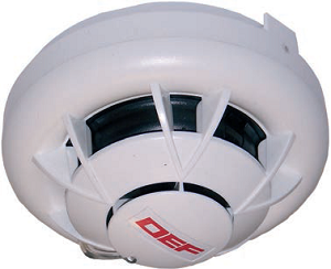 Linea Orion